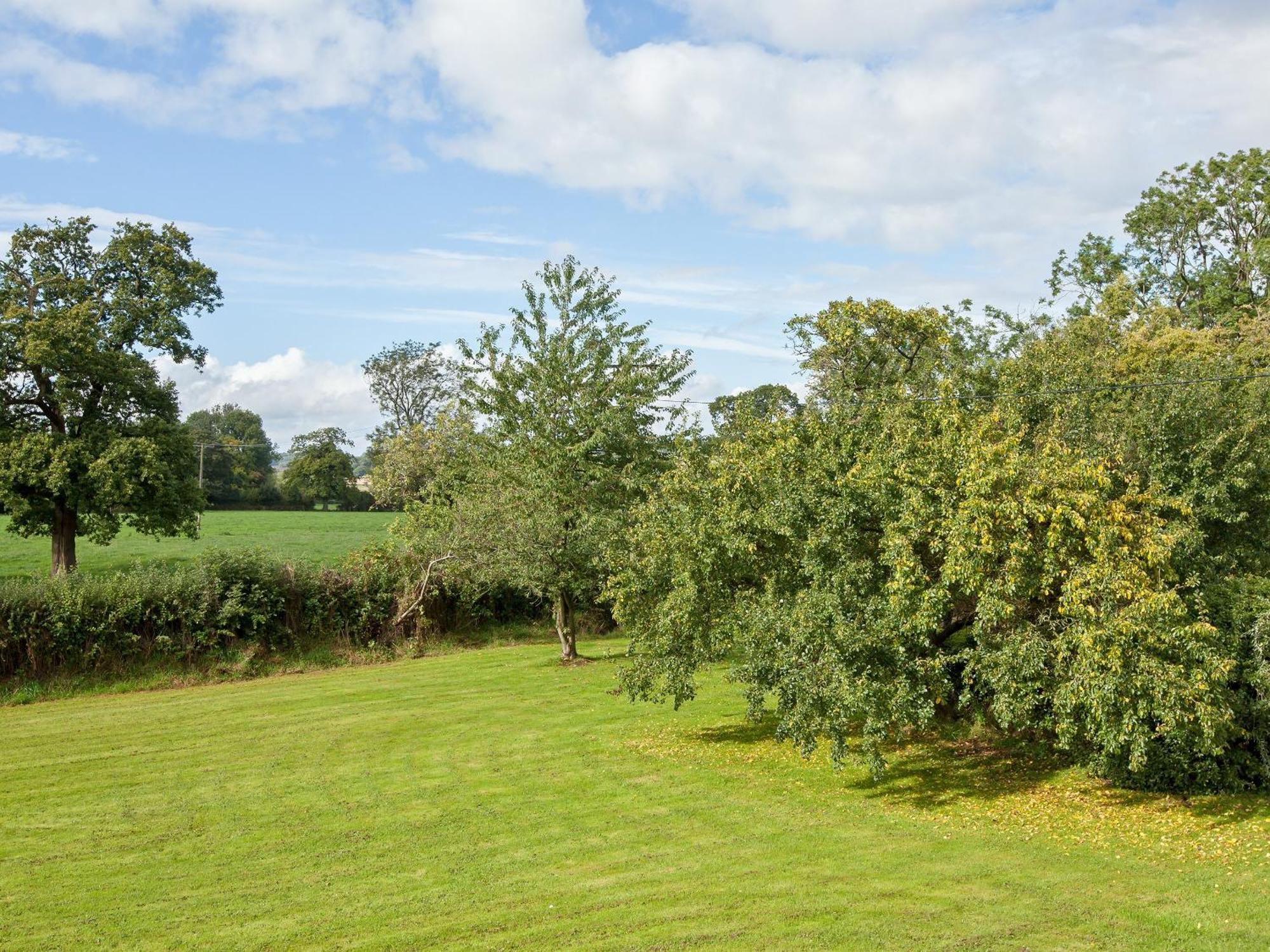 Fir Tree Cottage Standon Esterno foto